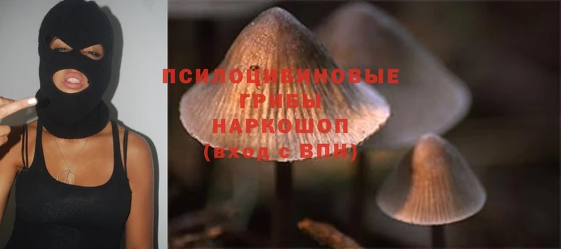 Псилоцибиновые грибы MAGIC MUSHROOMS  ОМГ ОМГ вход  shop какой сайт  Кострома 